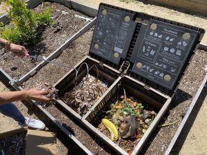 The compost bin has been an important addition to the garden, educating students about food waste